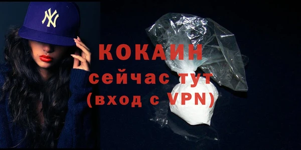 индика Абинск