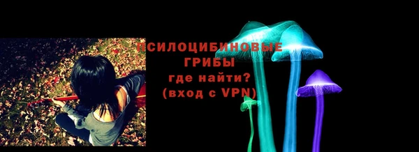 индика Абинск