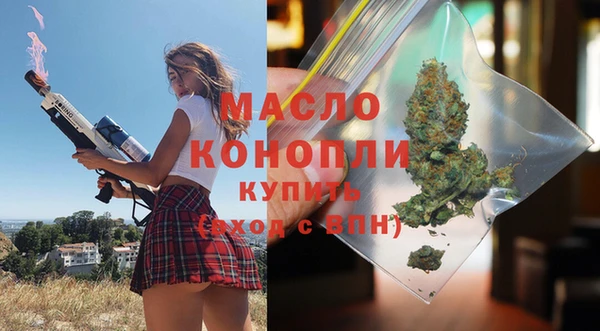 индика Абинск