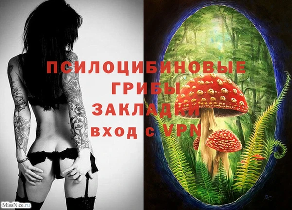 МДПВ Краснотурьинск